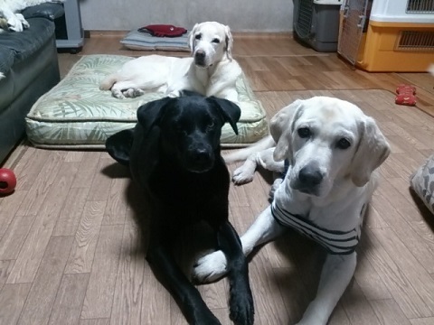 c0337990_20235554.jpg