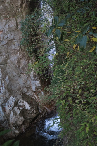 a0278092_207341.jpg