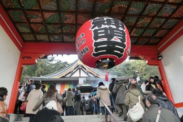 美しいものに感激できる慶び、啓翁桜が一足早く春を告げてくれていました・・・・実に可愛い桜に感動！！_d0181492_22140818.jpg