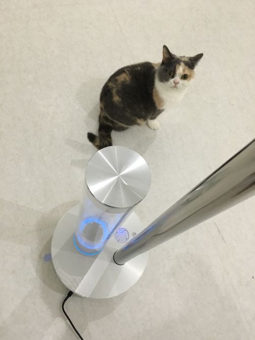 おすすめの加湿器_c0108595_0122496.jpg