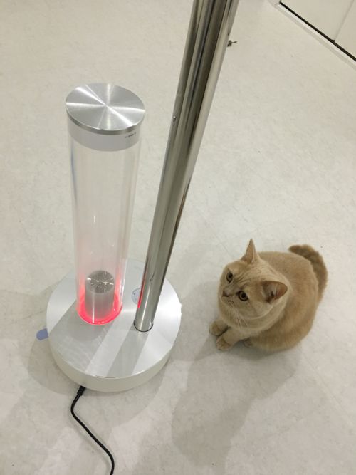 おすすめの加湿器_c0108595_0133532.jpg