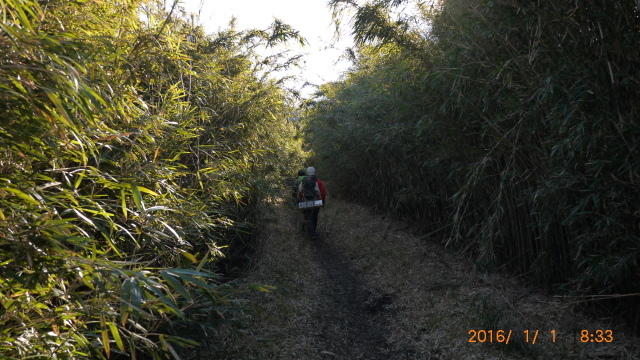 c0133096_16031105.jpg