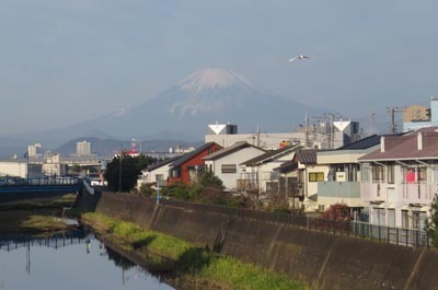 サザンビーチ海岸凧上げ大会・箱根駅伝応援_c0220597_15255752.jpg