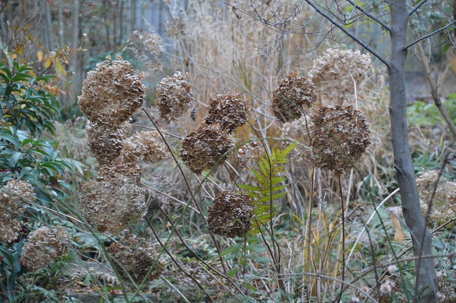 c0124100_18501569.jpg