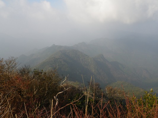 f0187402_17301874.jpg