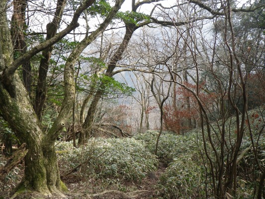 f0187402_1730535.jpg