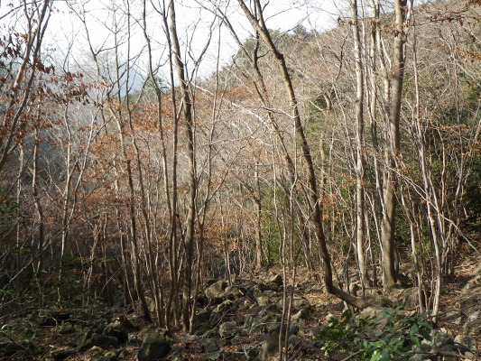 f0187402_17312084.jpg