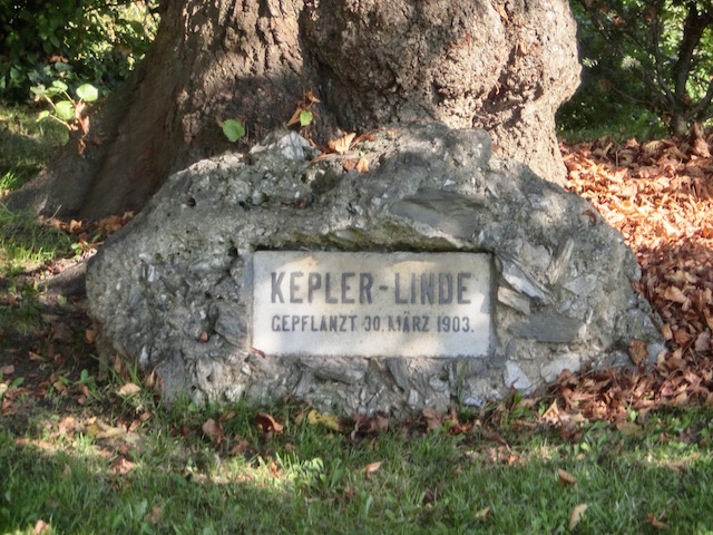 c0193304_2014578.jpg