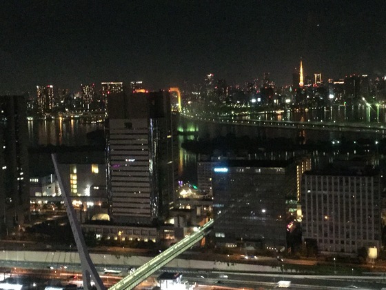 新年明けましておめでとうございます。そしてマイナンバーでの申告とお正月湾岸チャリポタ_d0054704_19162434.jpg