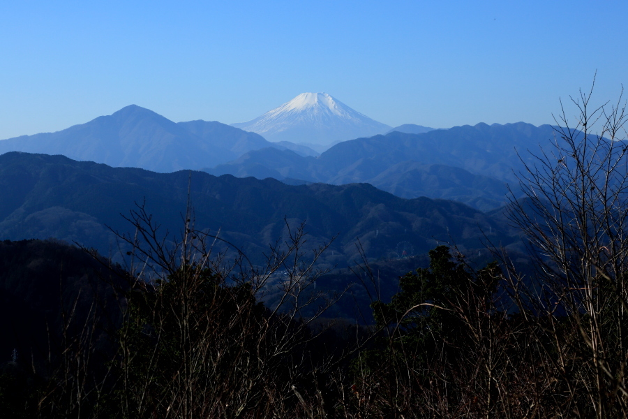 久しぶりの高尾山_d0334006_23362962.jpg