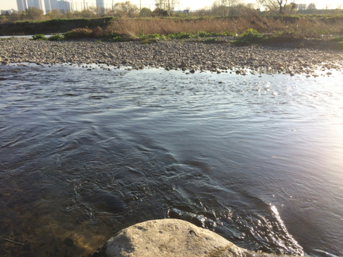 f0155808_14514691.jpg