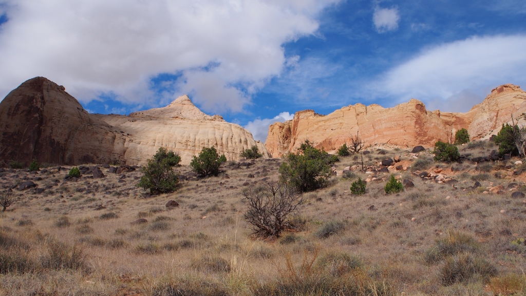 b0021211_16542145.jpg