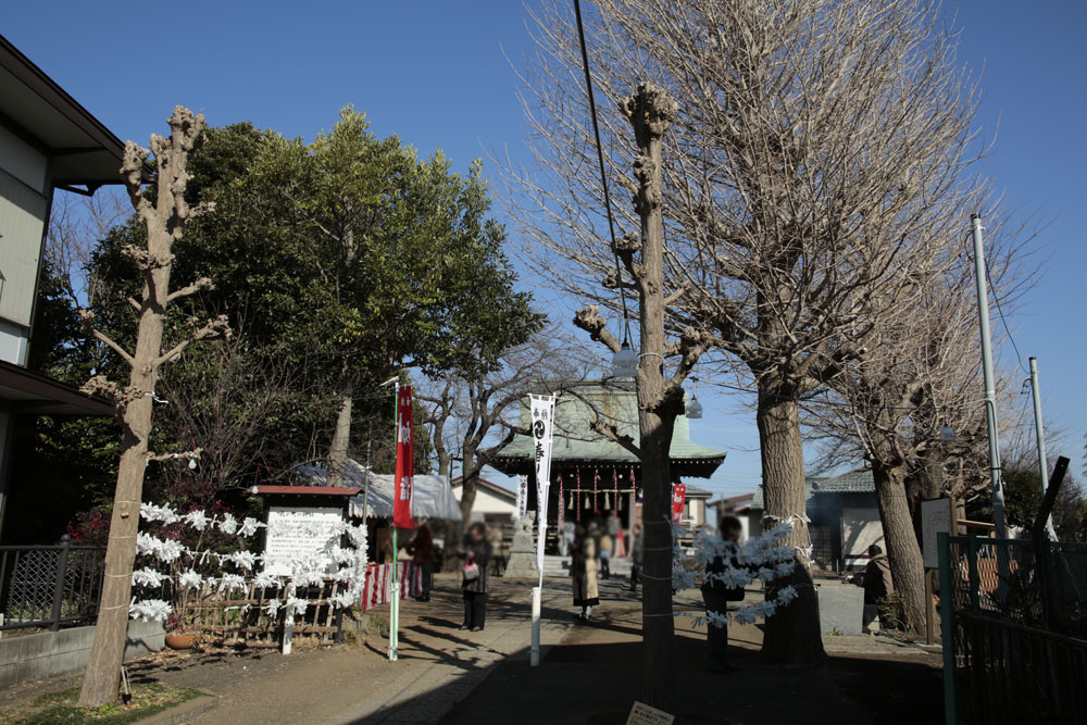 d0011713_1142596.jpg