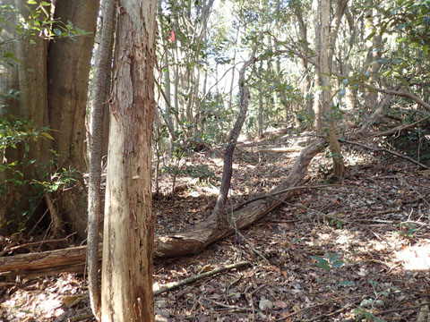 e0293913_0105196.jpg