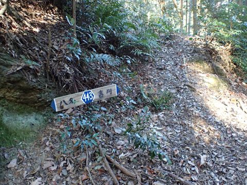 e0293913_010639.jpg