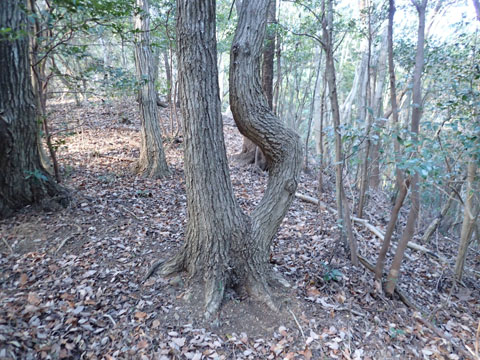 e0293913_0113994.jpg