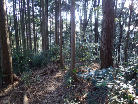 e0293913_0122687.jpg