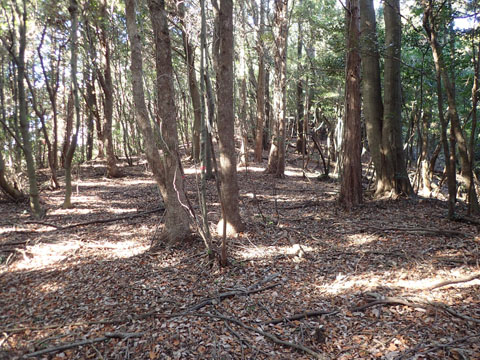 e0293913_0125011.jpg