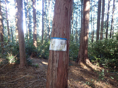 e0293913_014380.jpg