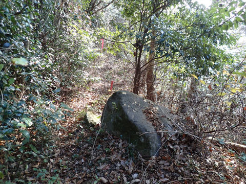 e0293913_0144842.jpg