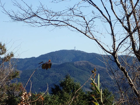 e0293913_0173449.jpg