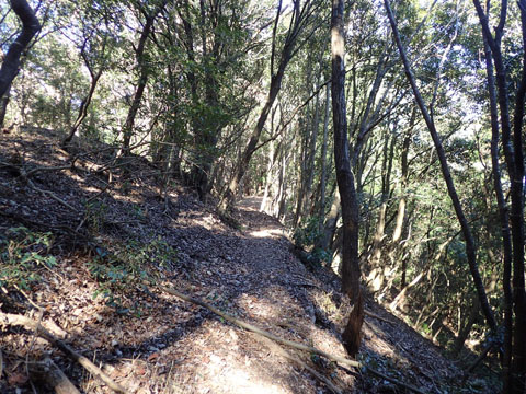 e0293913_09411.jpg