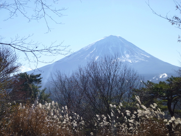 富士山の眺めがすばらしい　足和田山(1,354.9M) 登頂 編_d0170615_15542244.jpg