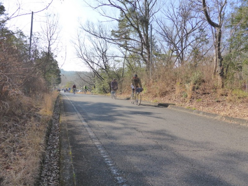 b0174217_1259054.jpg