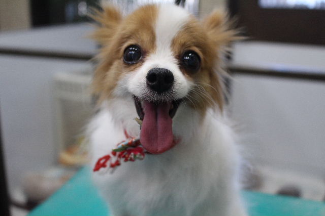 今日もお休み頂いてまぁ～す！！_b0130018_10271390.jpg