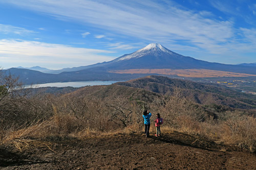 申年　お正月　遠出はしなかったけど毎日初詣生活_b0199522_18295777.jpg