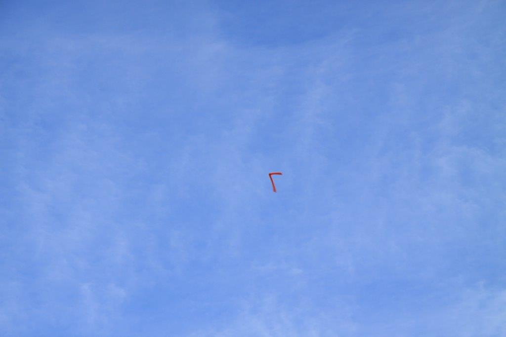 d0148223_1813483.jpg