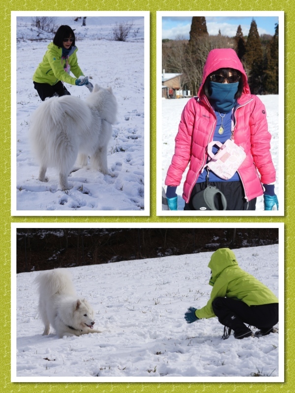 今シーズン最初の雪遊び！_f0234023_20402979.jpg