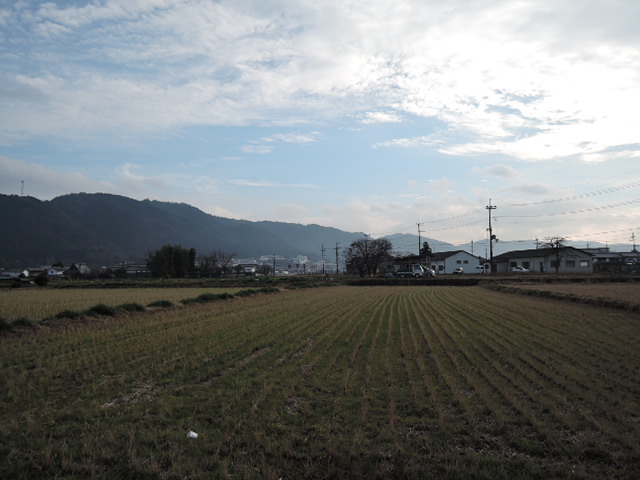 a0118028_9132175.jpg