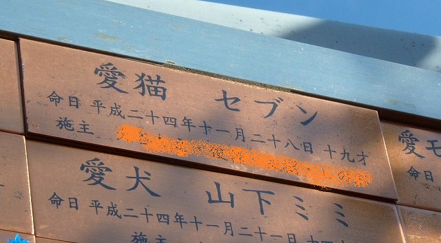 b0166128_8343460.jpg