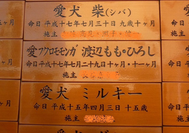 b0166128_8375040.jpg