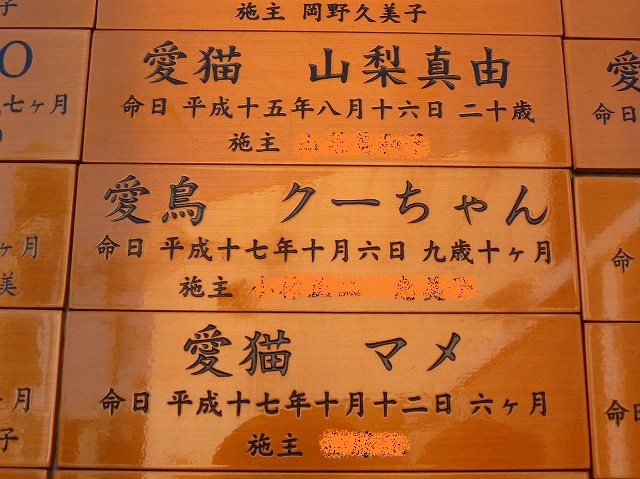 b0166128_840535.jpg