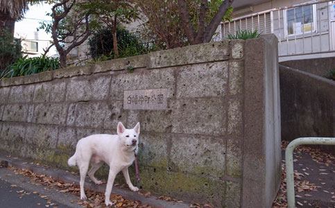 Vol.971 白幡仲町公園_a0117039_2230627.jpg