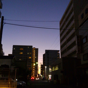 a0014840_1733491.jpg