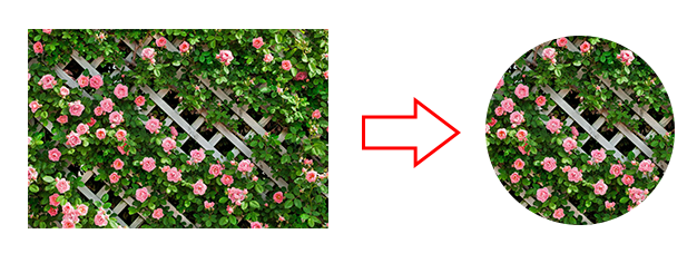 a0342241_18313813.png