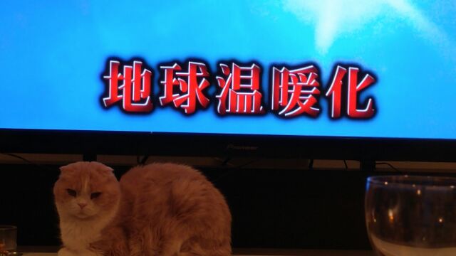 そやね キムラ緑子の いつか の前に