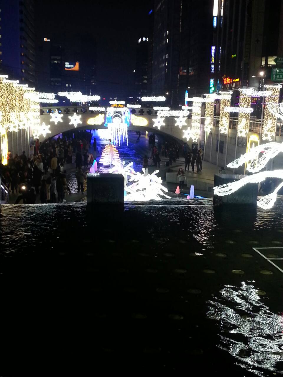 d0160145_16322638.jpg