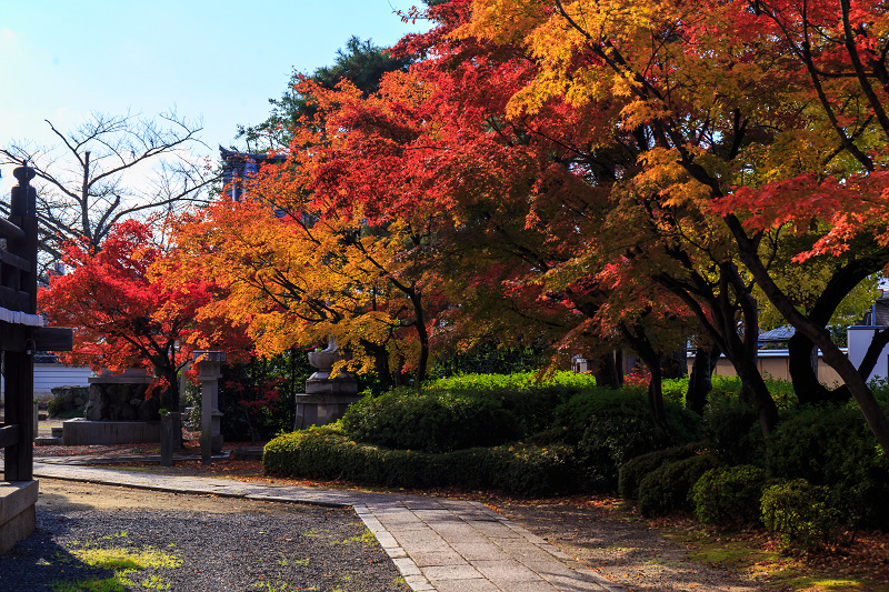 京都の紅葉2015・妙顕寺の美_f0155048_22181567.jpg