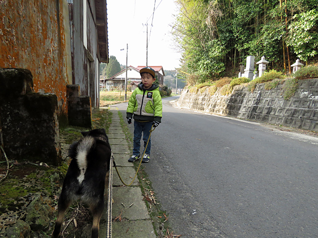 大代町大家の天領軍鶏_f0214649_1136286.jpg