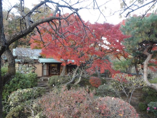 新年のごあいさつ_a0313956_17372092.jpg