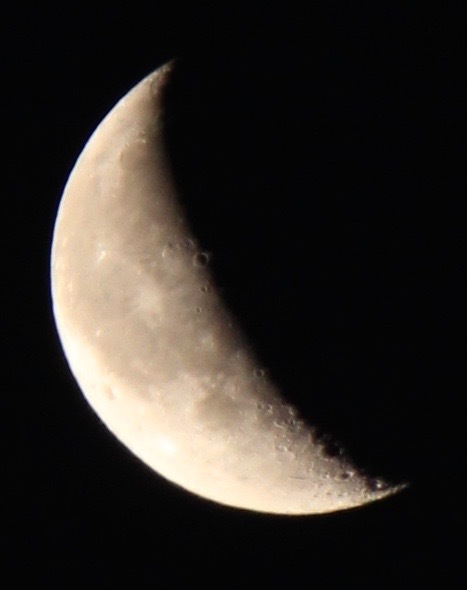 a0248459_16303153.jpg