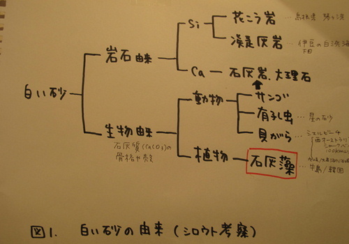 岩は黒いのに 砂が白いのはなぜ？ - 2_e0201060_20341849.jpg