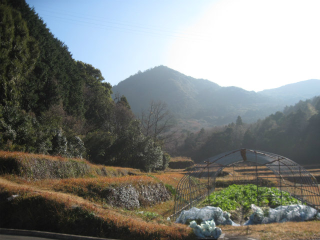 2016.1.4 鍛冶ヶ峰228ｍ＆西方山114ｍ_c0219866_17524479.jpg