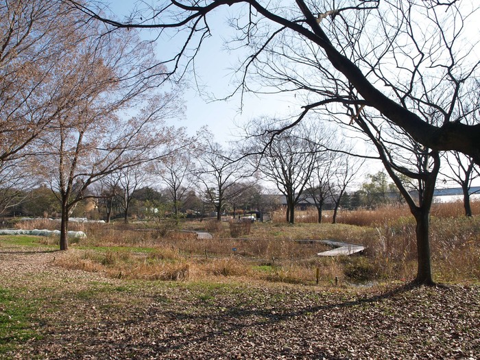 d0054276_20104280.jpg