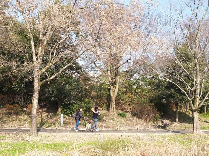 d0054276_2011124.jpg