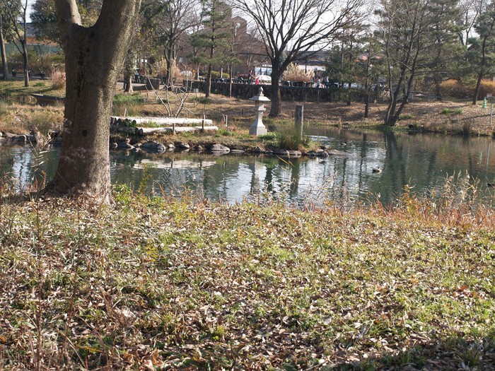 d0054276_20115056.jpg
